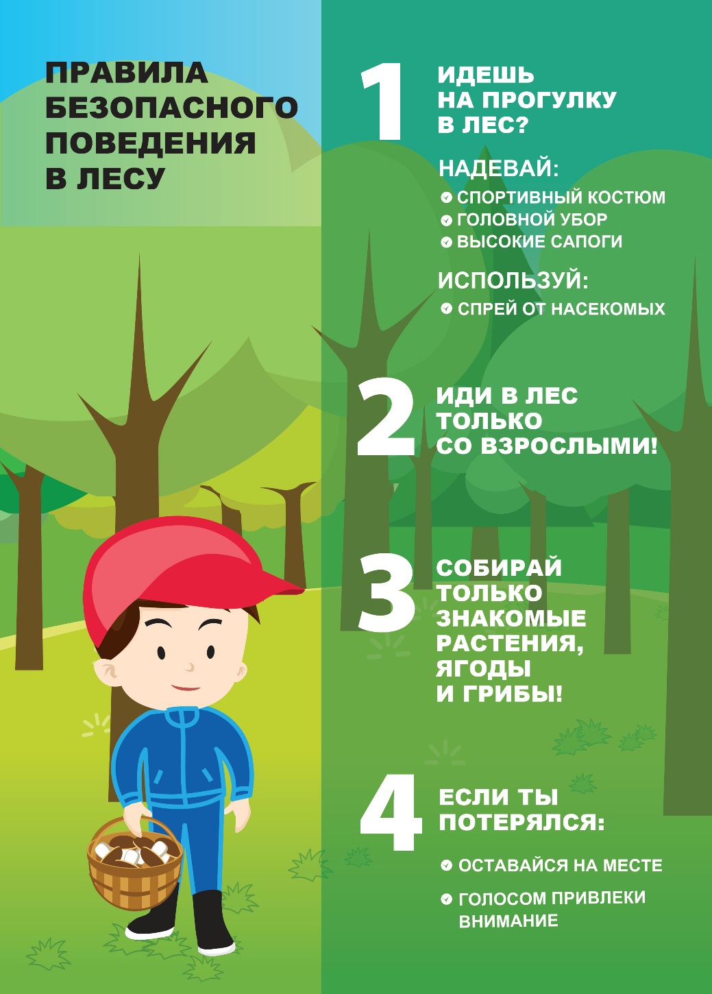 Правила безопасного поведения в лесу