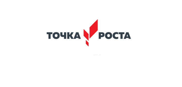 centry tochka rosta pdf 2